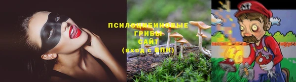 тгк Пролетарск