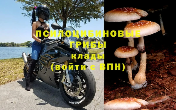 ГАЛЛЮЦИНОГЕННЫЕ ГРИБЫ Арсеньев