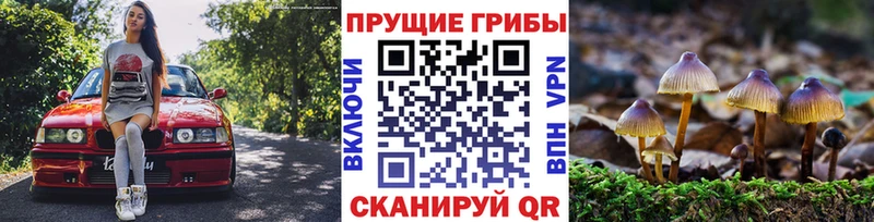 купить закладку  Куйбышев  Галлюциногенные грибы прущие грибы 