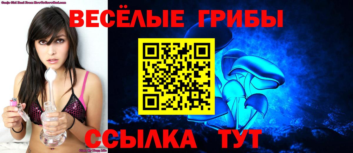 где можно купить наркотик  Псилоцибиновые грибы Psilocybe  Вход с VPN  Куйбышев 